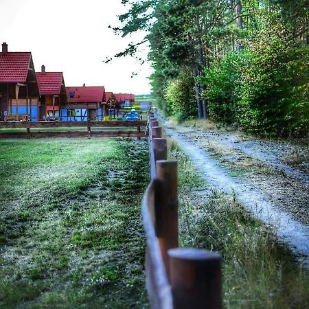 Borowy Mlyn Lesna Ostojaヴィラ エクステリア 写真